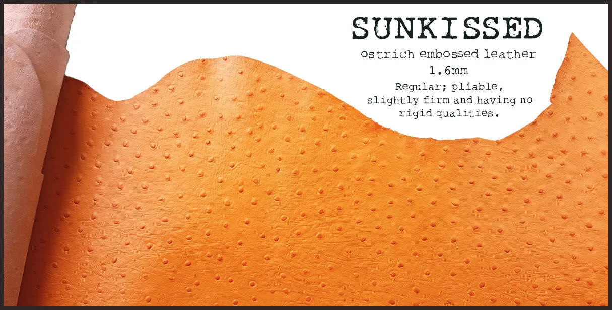 R.atelier A6 TN Leather Folio | Sunkissed