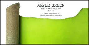 R.atelier B6 / B6 Slim TN Leather Folio | Apple Green