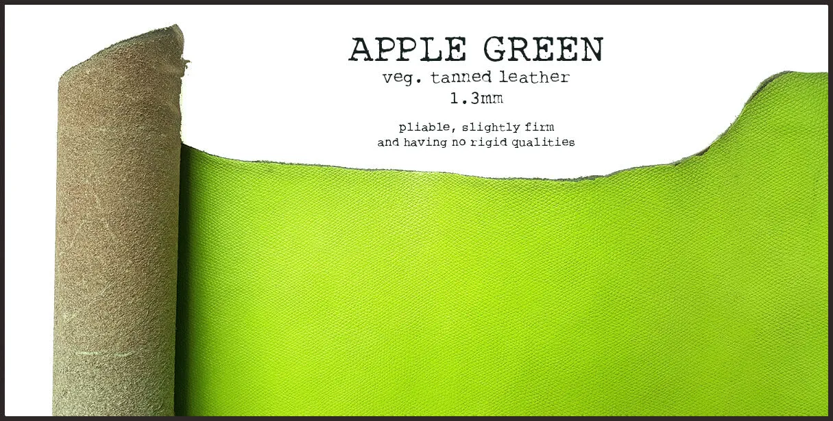 R.atelier Personal TN Folio | Apple Green