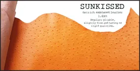R.atelier Personal TN Folio | Sunkissed