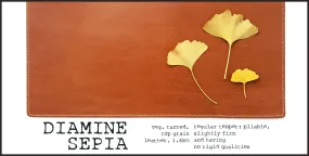 R.atelier Pocket TN Leather Folio | Diamine Sepia